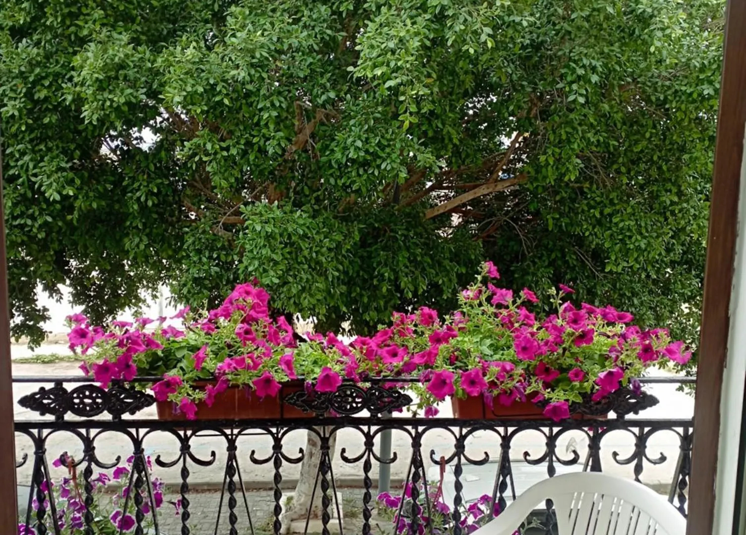 Casa Bluchic Gioisia Apartment Isola delle Femmine